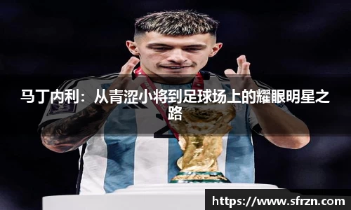 马丁内利：从青涩小将到足球场上的耀眼明星之路